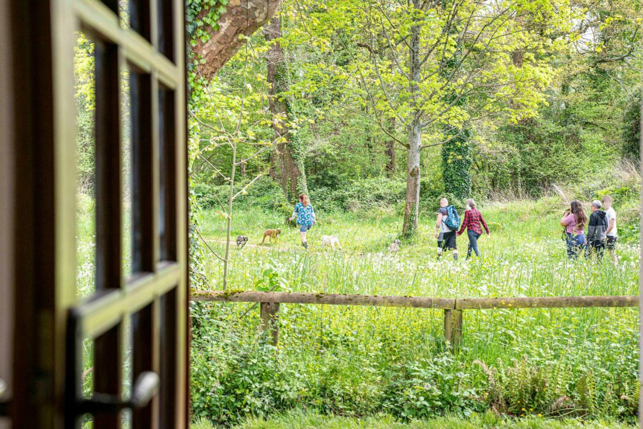 Maison de charme à proximité de Pau - 3 chambres - 6 p - Jardin Sendets  Esterno foto